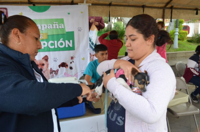Se realizó la Campaña de Vacunación Antirrábica y Campaña de Adopción de mascotas