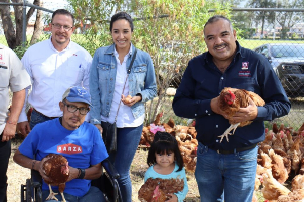 El Alcalde Isidoro Mosqueda Estrada hizo la entrega de una remesa de 243 gallinas ponedoras de la raza Lohmann Brown