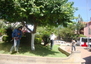 Mantenimiento ininterrumpido a jardines públicos de Jacona